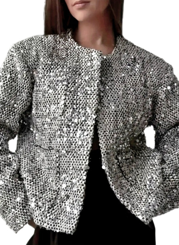 Silver Sequin Embellished Jacket