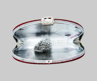 Rainbow Crystal Clutch