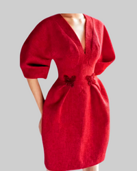 Red Butterfly Applique Dress