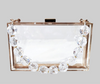 Transparent Clutch