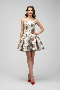 Christmas Mini Dress