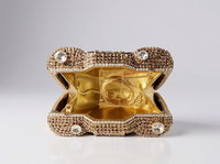 Crystal Camera Clutch